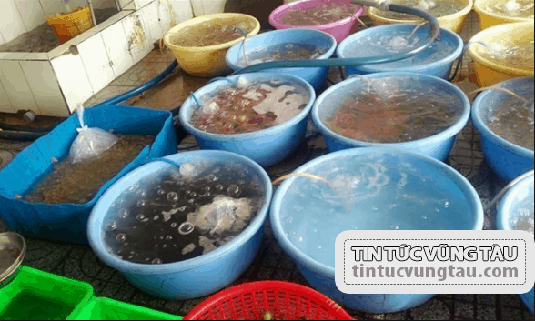 Vựa hải sản Hùng Phương chuyên cung cấp đủ loại hải sản tươi ngon