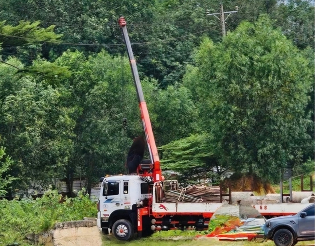  TP HCM: Xe cẩu bị phóng điện khiến 2 người thương vong