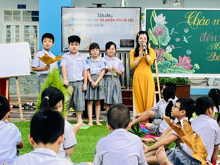  Năm học mới, TP.HCM tuyển giáo viên những môn học nào nhiều nhất?